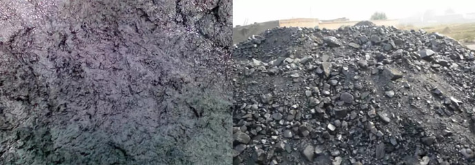 瑞新熱裂解技術(shù) 變水產(chǎn)品廢棄物為寶，助力環(huán)保新篇章